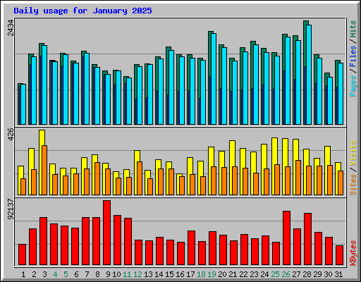 Daily usage for January 2025