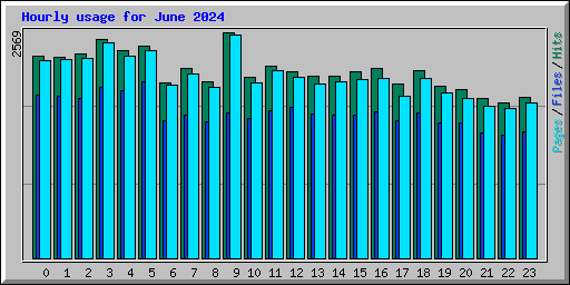 Hourly usage for June 2024