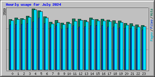 Hourly usage for July 2024