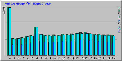 Hourly usage for August 2024