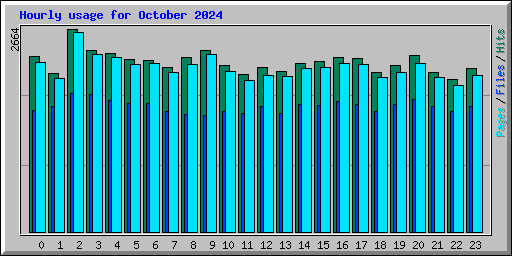 Hourly usage for October 2024