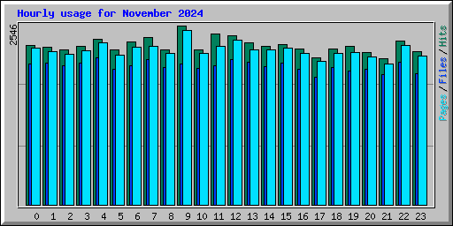 Hourly usage for November 2024