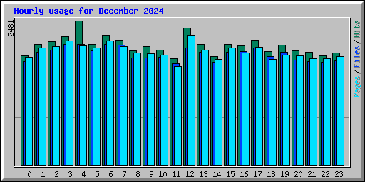 Hourly usage for December 2024