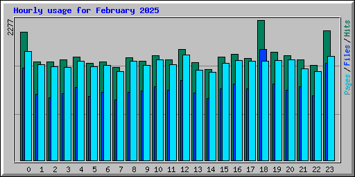 Hourly usage for February 2025