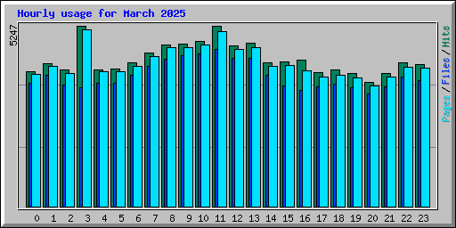 Hourly usage for March 2025