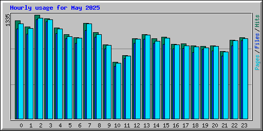 Hourly usage for May 2025