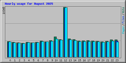 Hourly usage for August 2025
