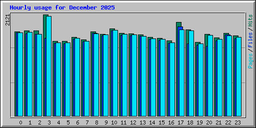 Hourly usage for December 2025